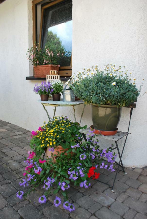 Homestay Cozy Room Markdorf Εξωτερικό φωτογραφία